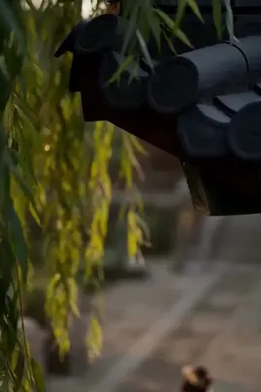 ملصق مسلسل «الزوجة المحظوظة بعد الطلاق»