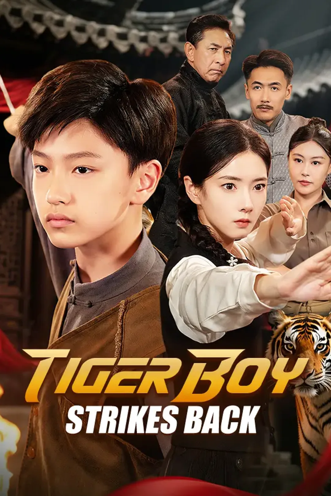 Tiger Boy Strikes Back poster
