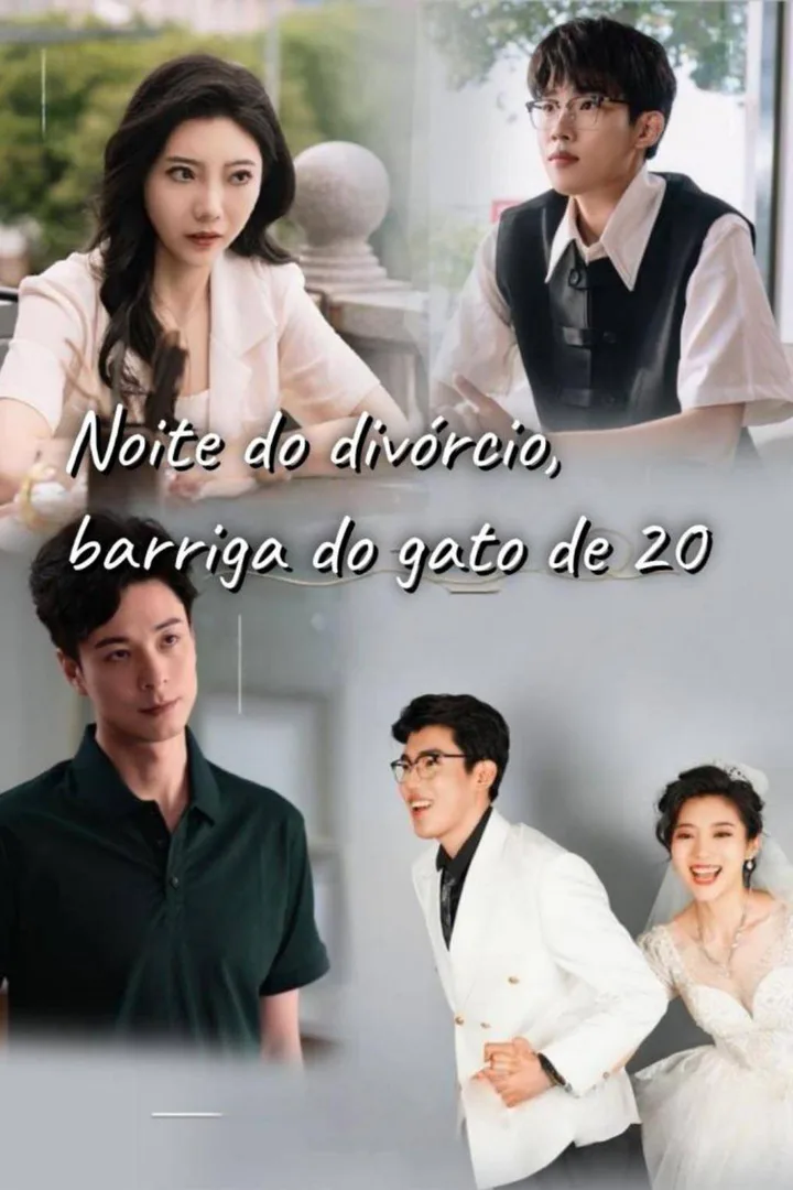 Pôster de Noite do divórcio, barriga do gato de 20