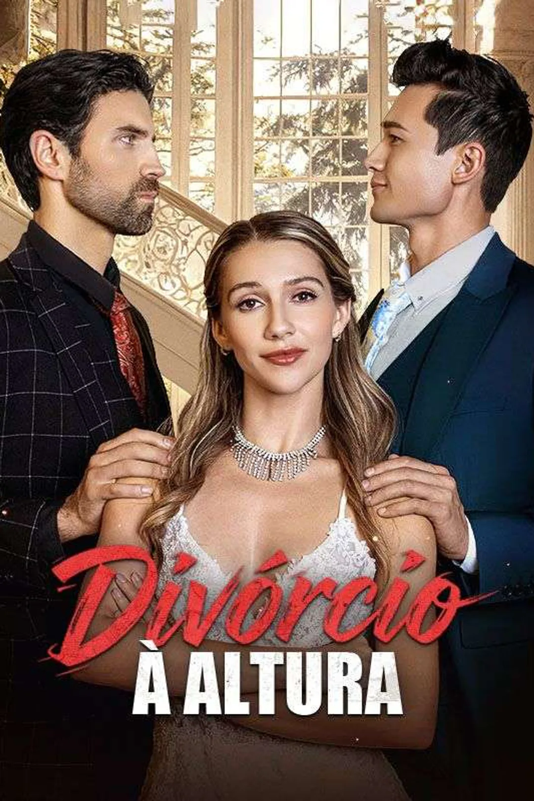 Pôster de Divórcio À Altura