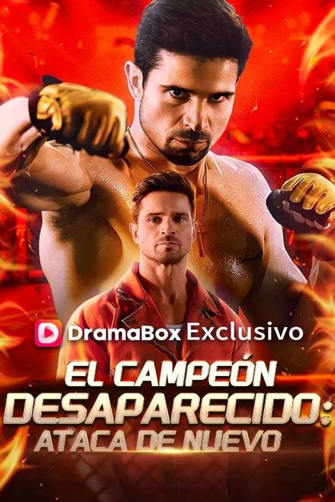 Póster de El campeón desaparecido: Ataca de nuevo