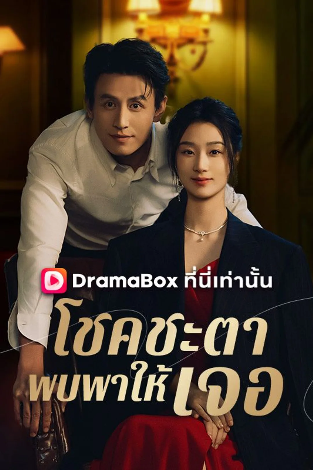 โปสเตอร์ โชคชะตาพบพาให้เจอ