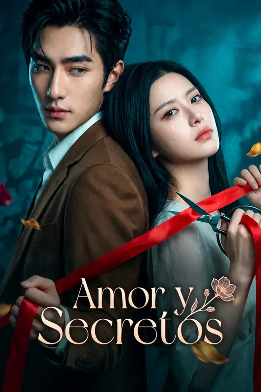 Póster de Amor y Secretos