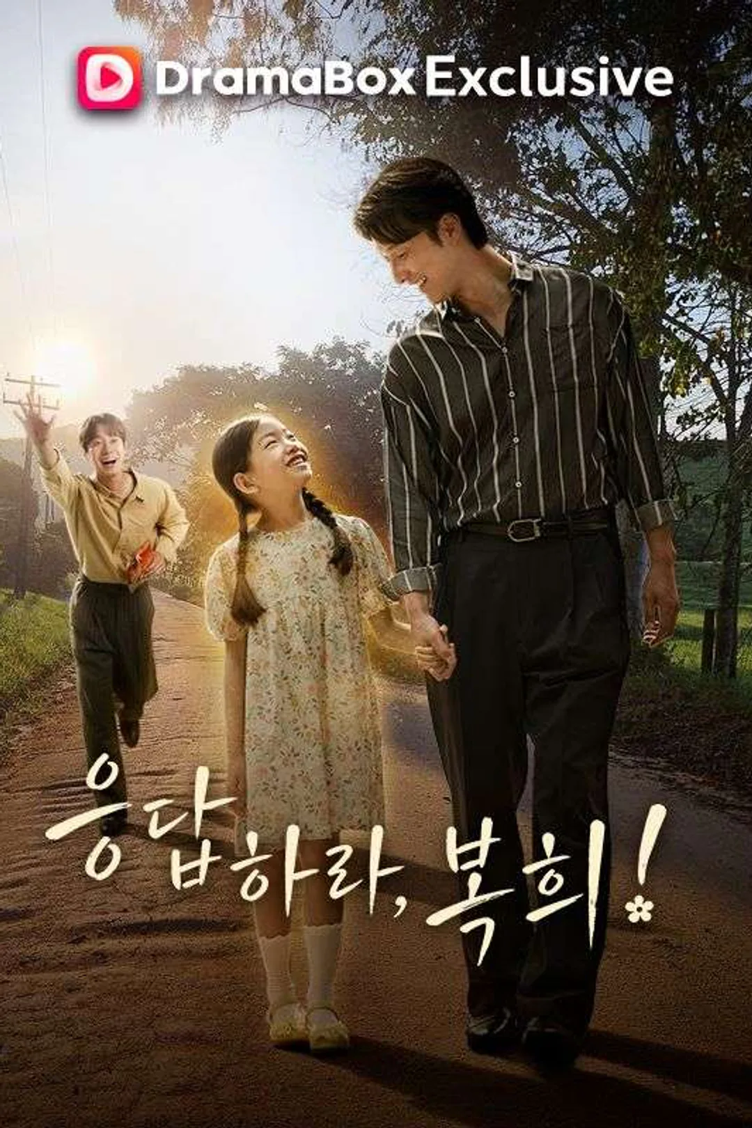 응답하라, 복희 포스터