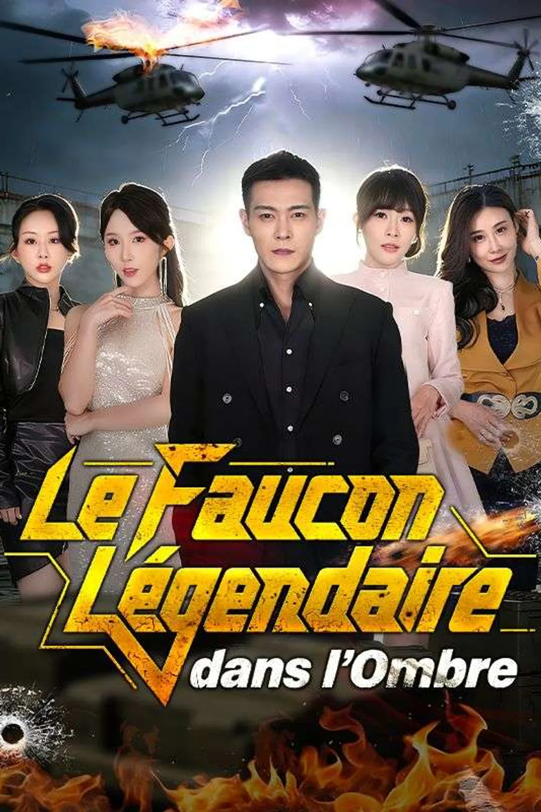 Affiche de Le Faucon Légendaire dans l'Ombre