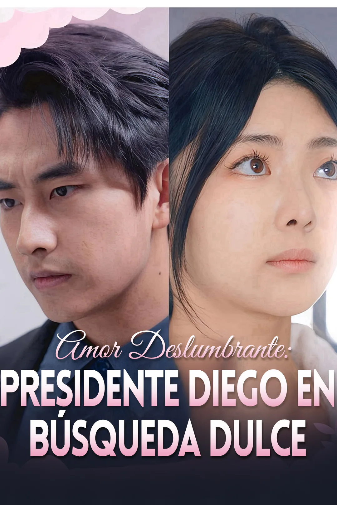 Póster de Amor Deslumbrante: Presidente Diego en Búsqueda Dulce