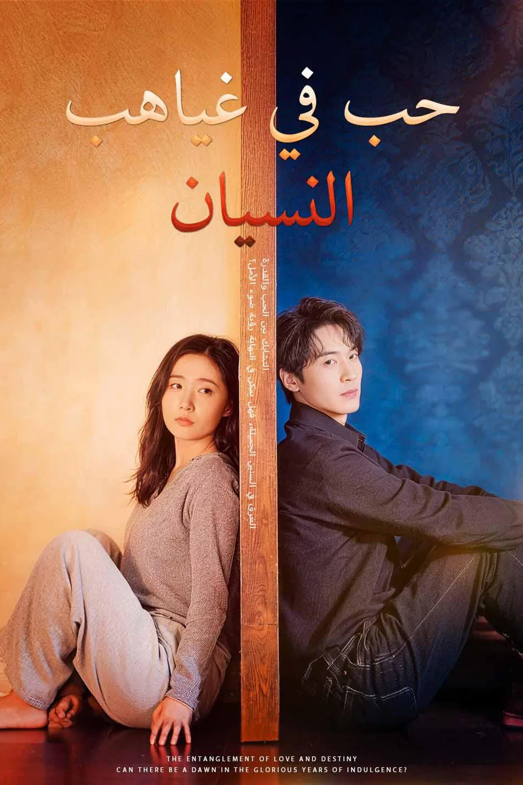 ملصق مسلسل «حب في غياهب النسيان»
