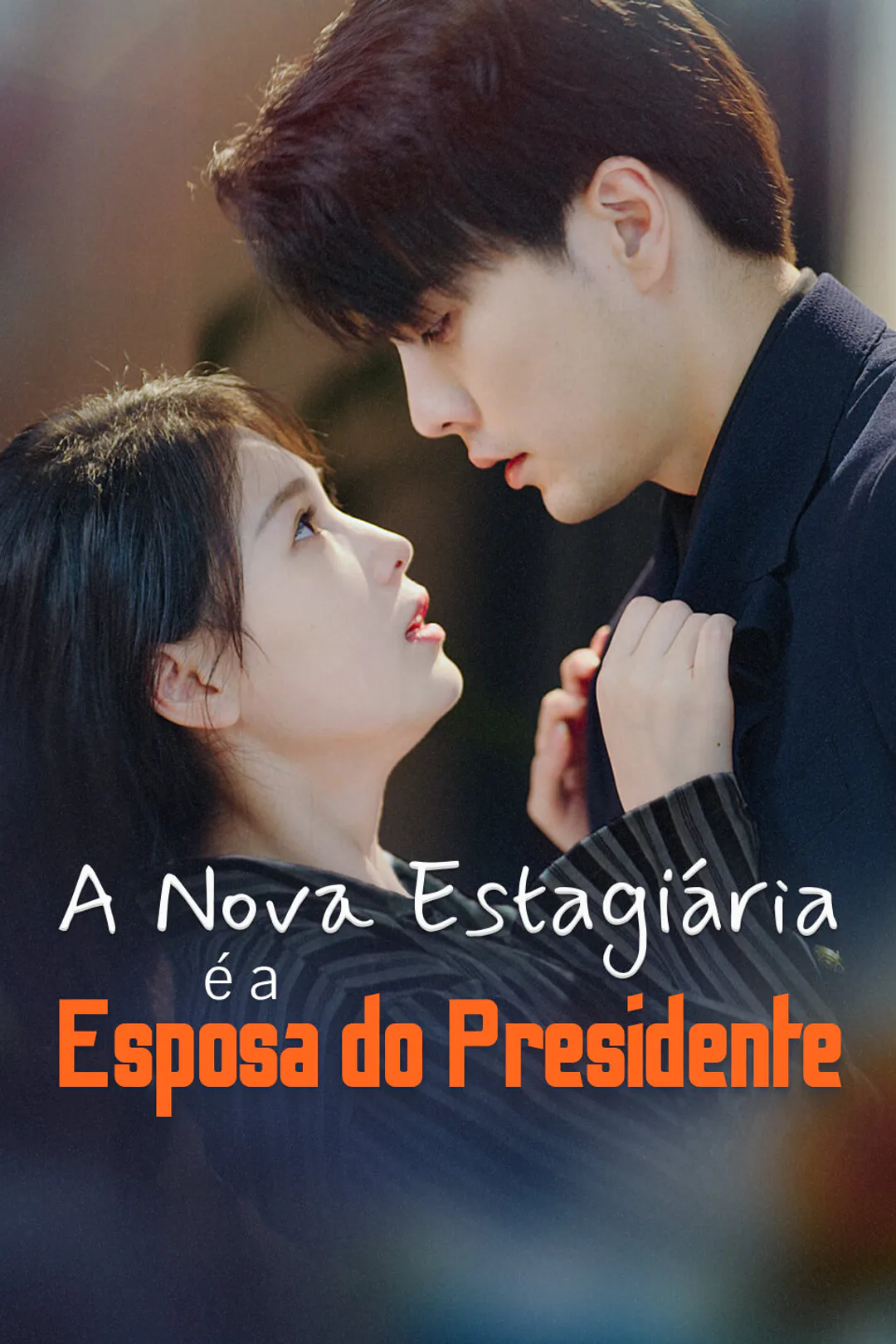 Pôster de A Nova Estagiária é a Esposa do Presidente