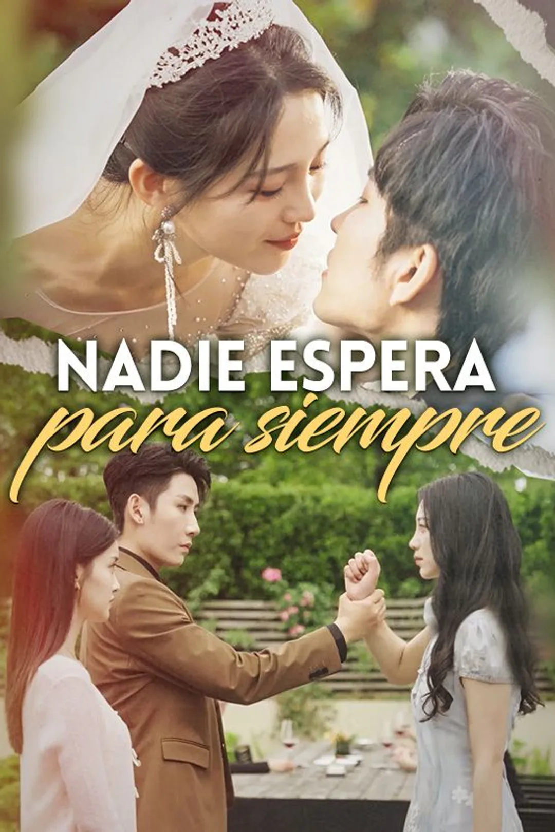 Póster de Nadie espera para siempre