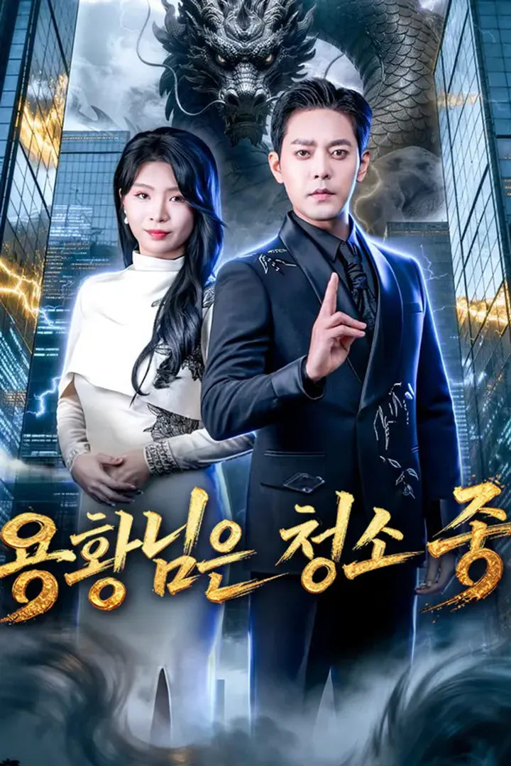 용황님은 청소 중 포스터