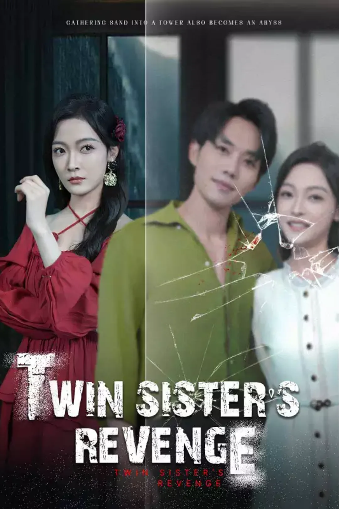 Pôster de Twin Sister's Revenge