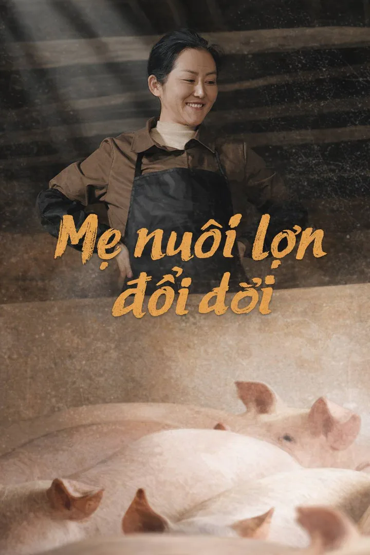 Poster phim Mẹ nuôi lợn đổi đời