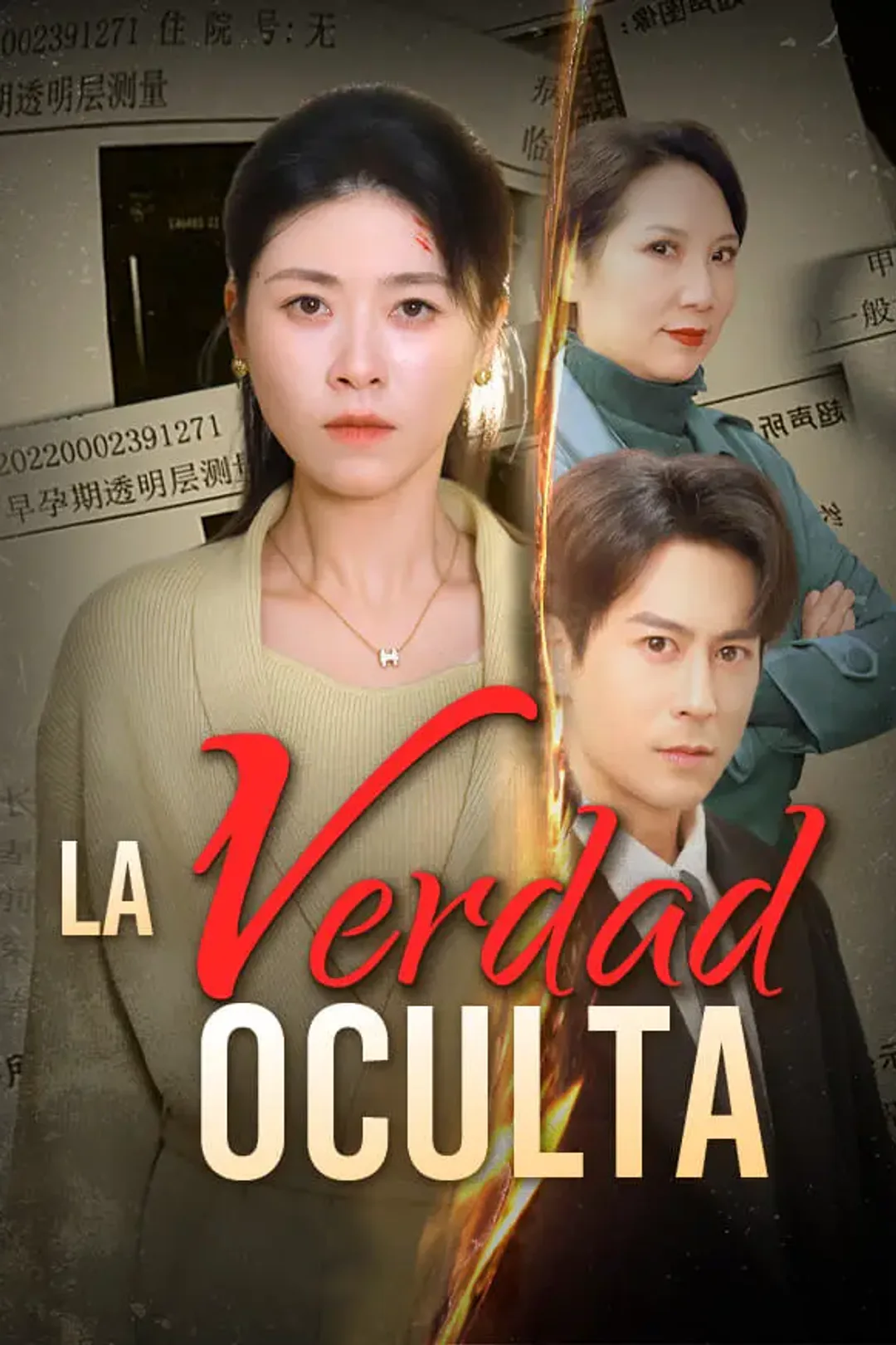 Póster de La Verdad Oculta