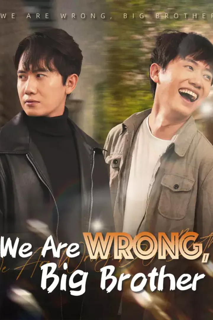 Pôster de We Are Wrong, Big Brother