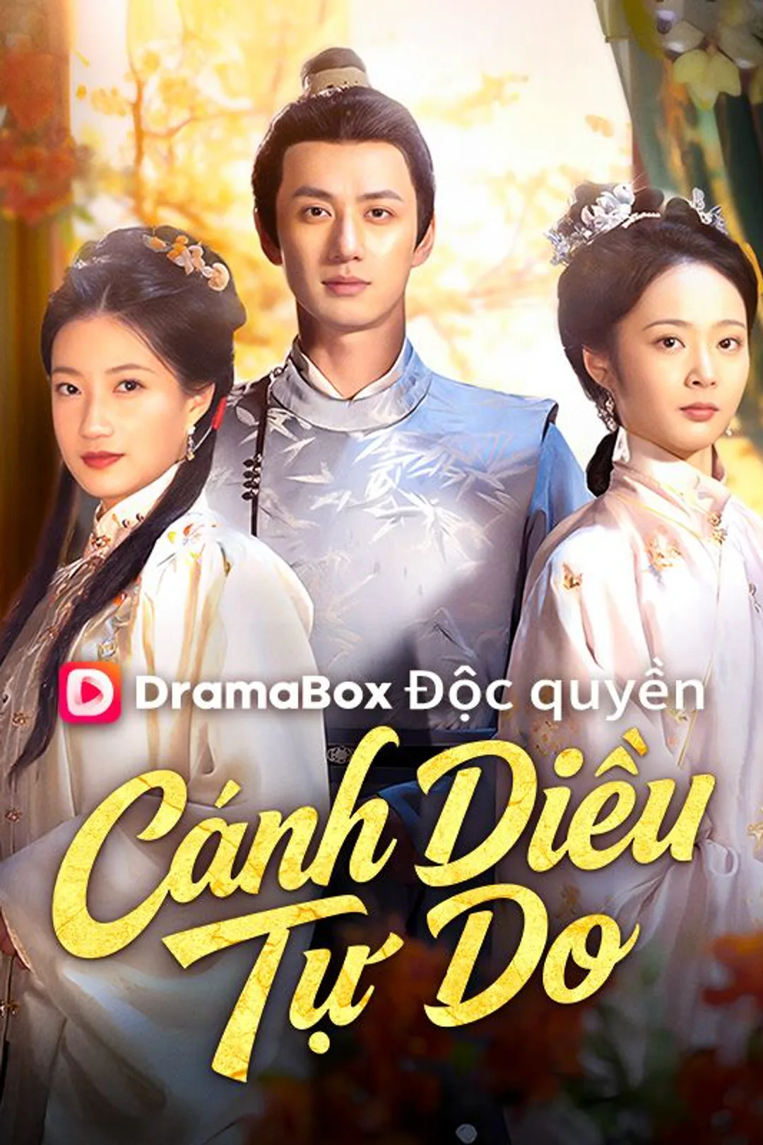 Poster phim Cánh Diều Tự Do