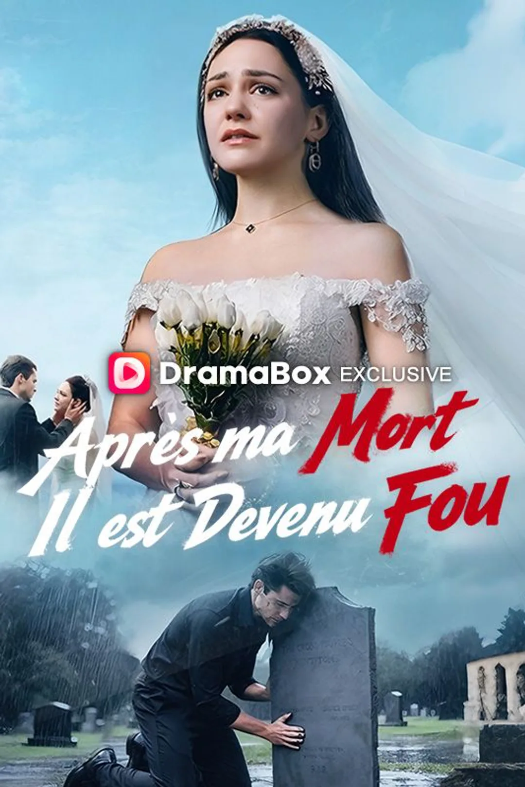 Affiche de Après ma Mort, Il est Devenu Fou