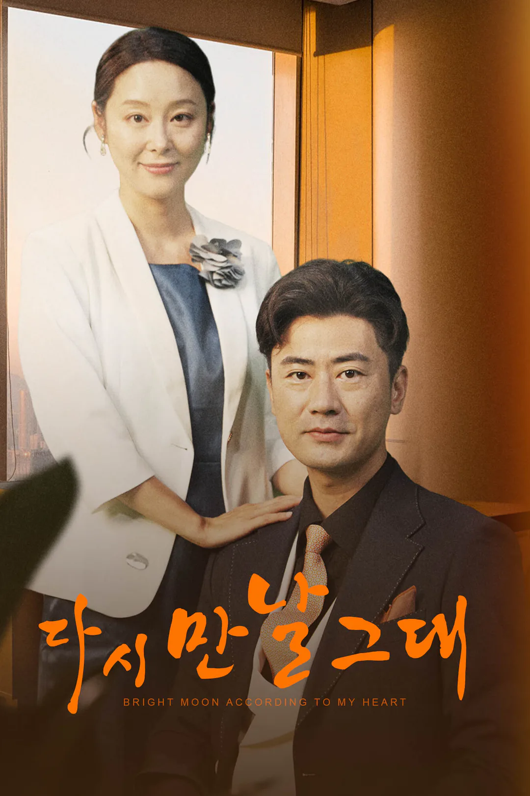 다시 만날 그대 포스터