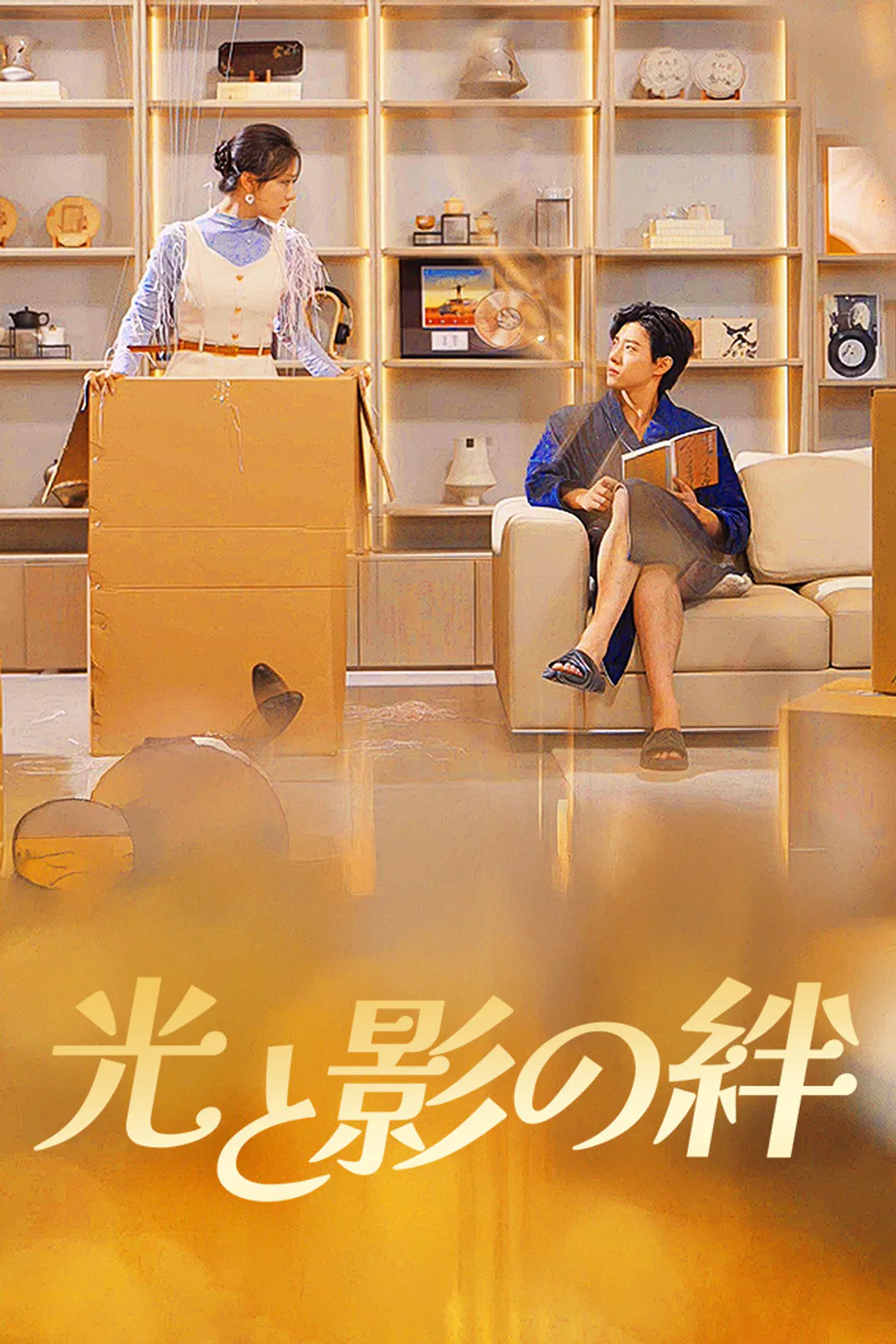 光と影の絆のポスター