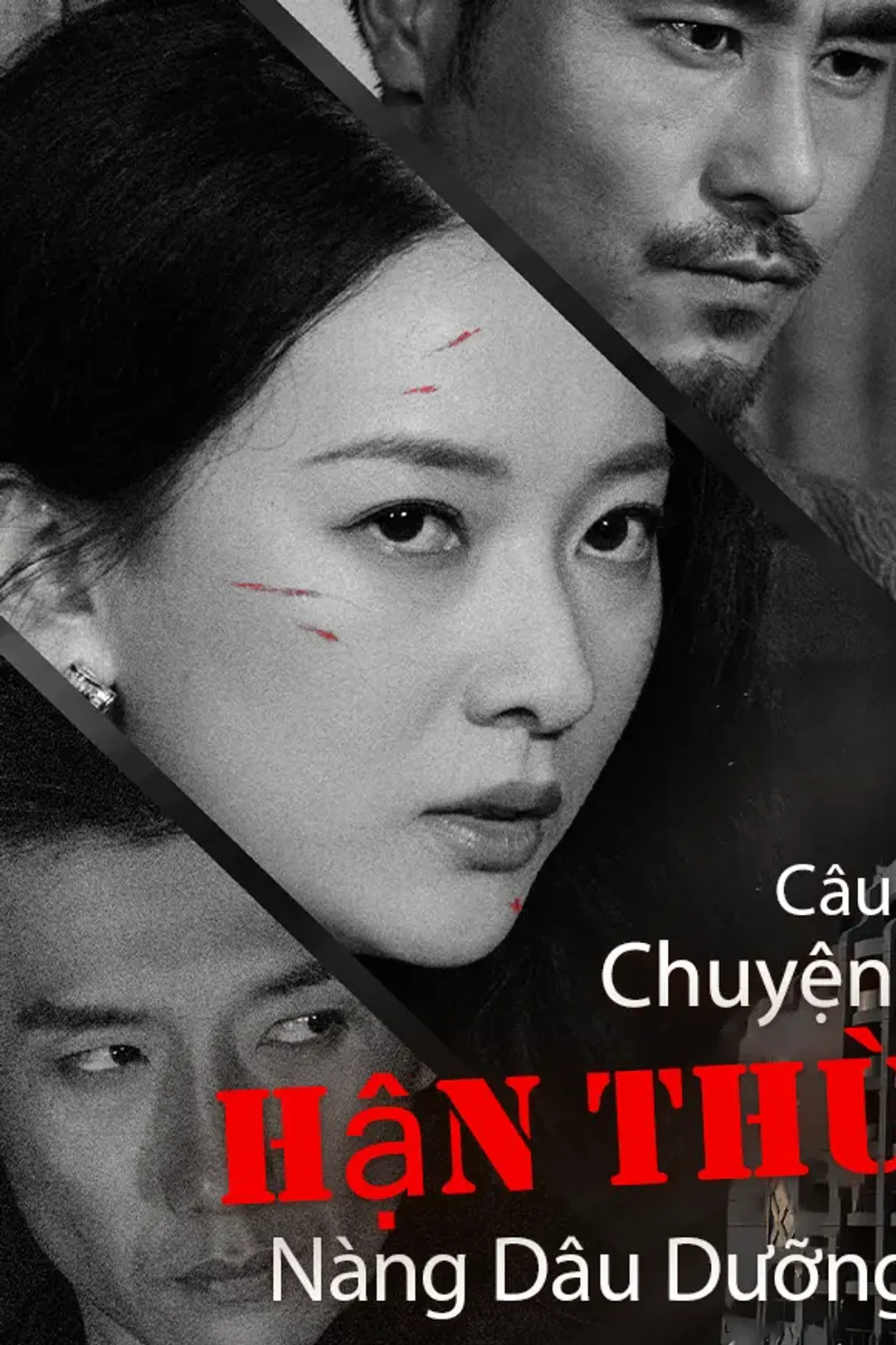 Poster phim Câu Chuyện Hận Thù Của Nàng Dâu Dưỡng