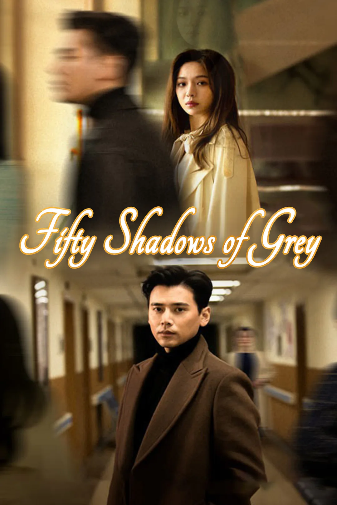 Fifty Shadows of Grey poster