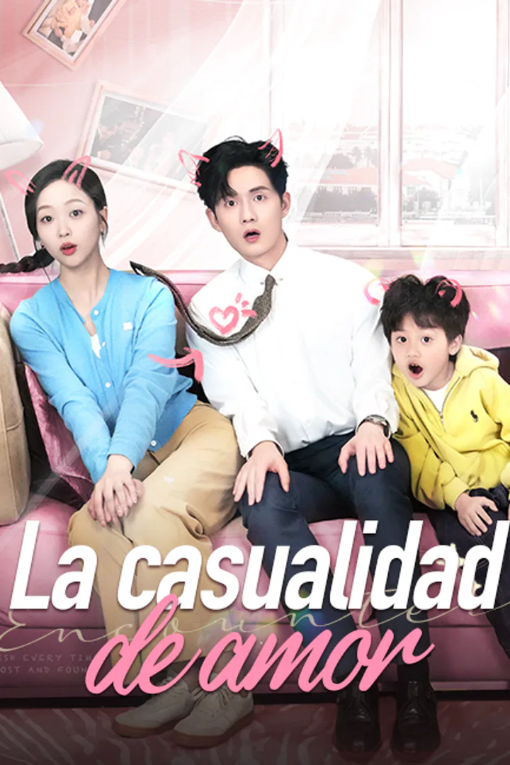 Póster de La casualidad de amor