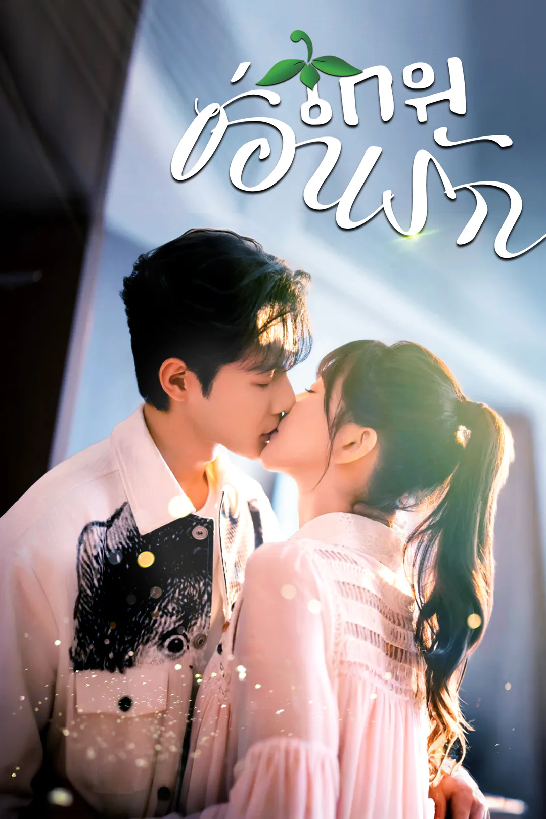 โปสเตอร์ เกมซ่อนรัก