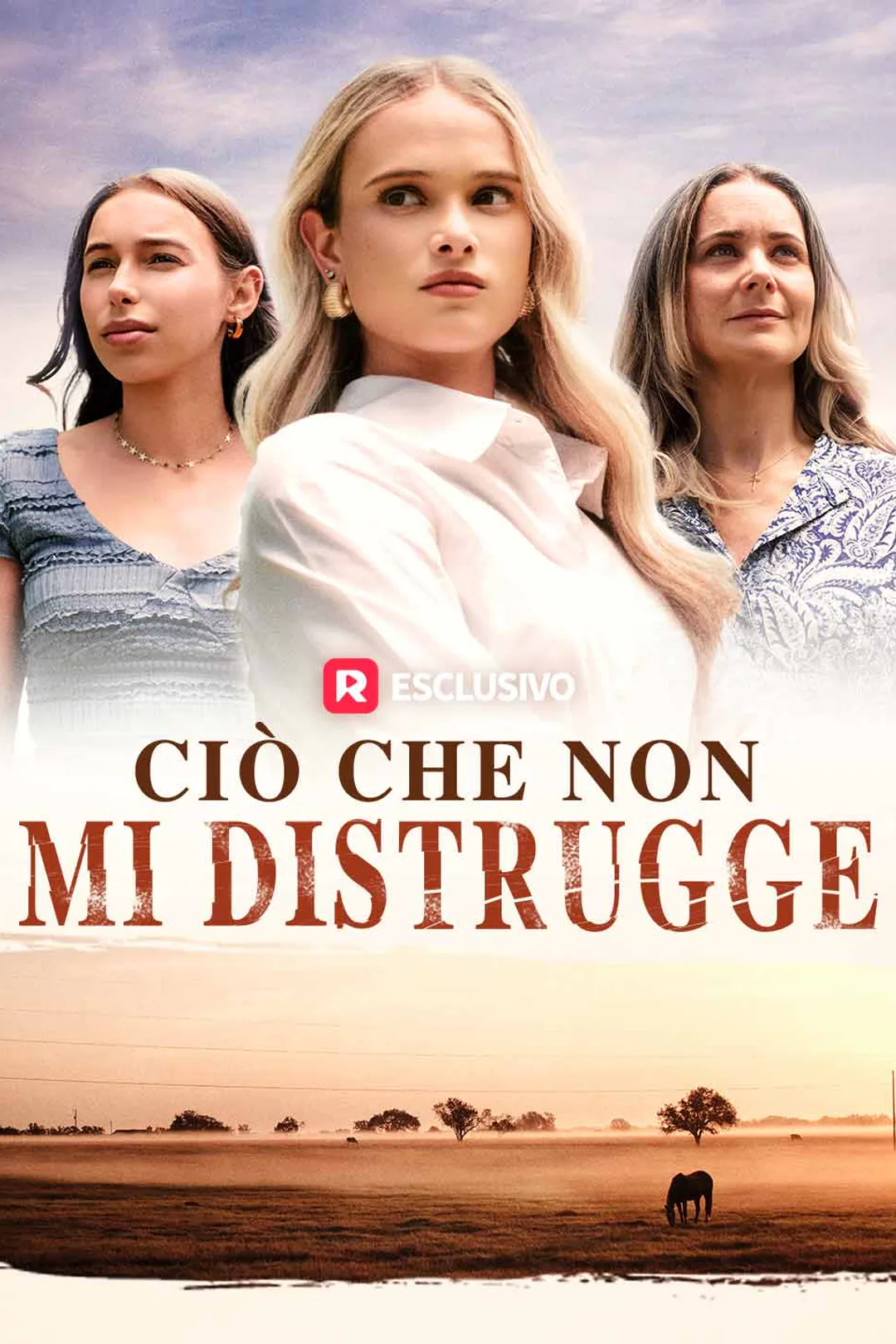 Locandina di Ciò che non mi distrugge