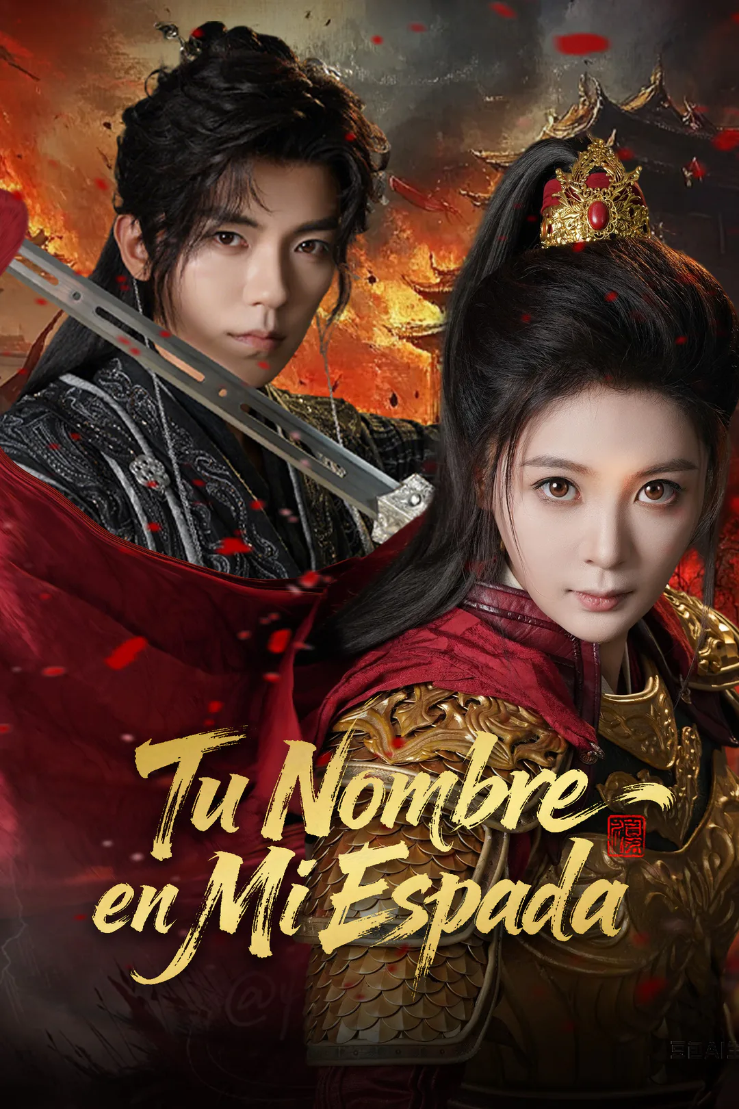 Póster de Tu Nombre en Mi Espada