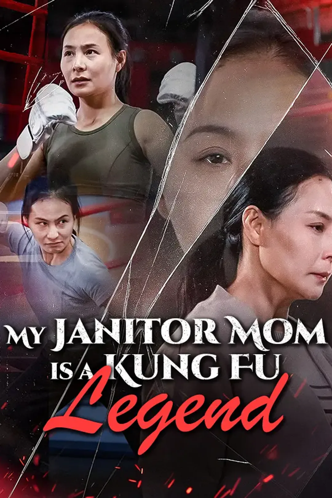 My Janitor Mom is a Kung Fu Legend poster
