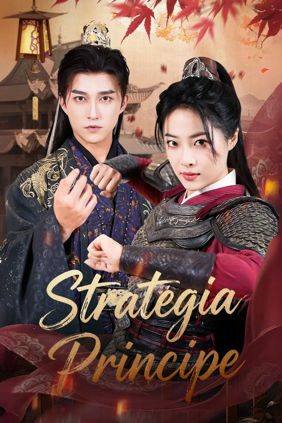 Locandina di Strategia Principe