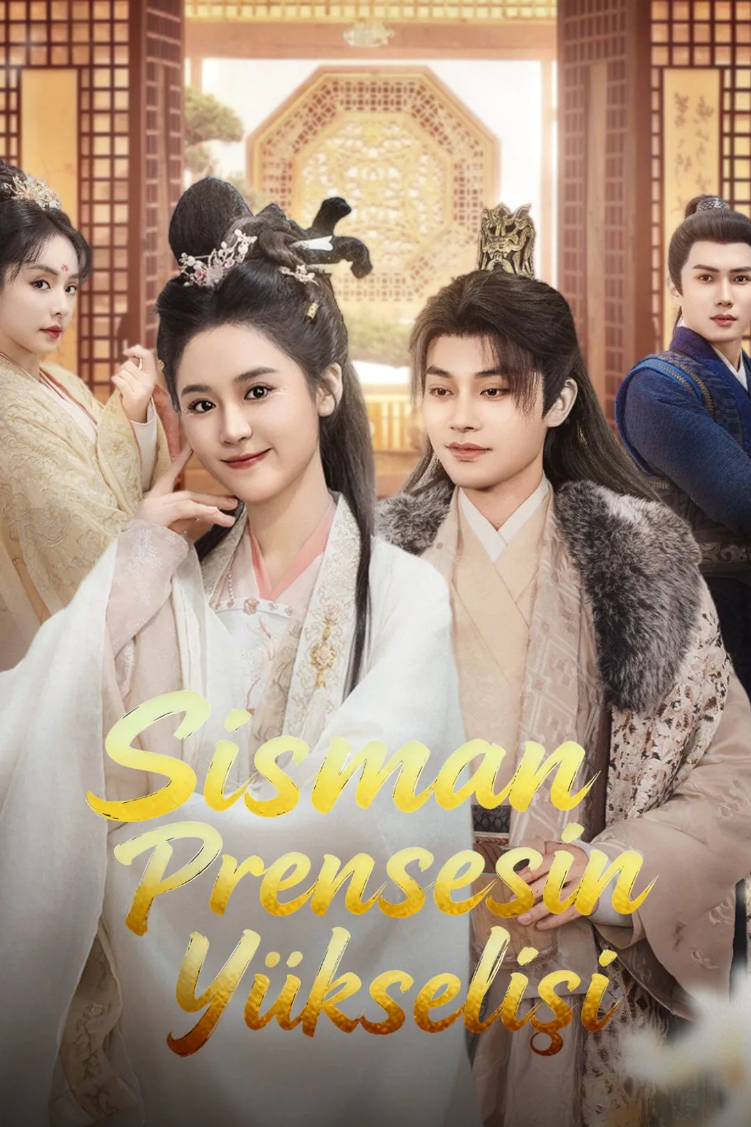 Şişman Prensesin Yükselişi afişi