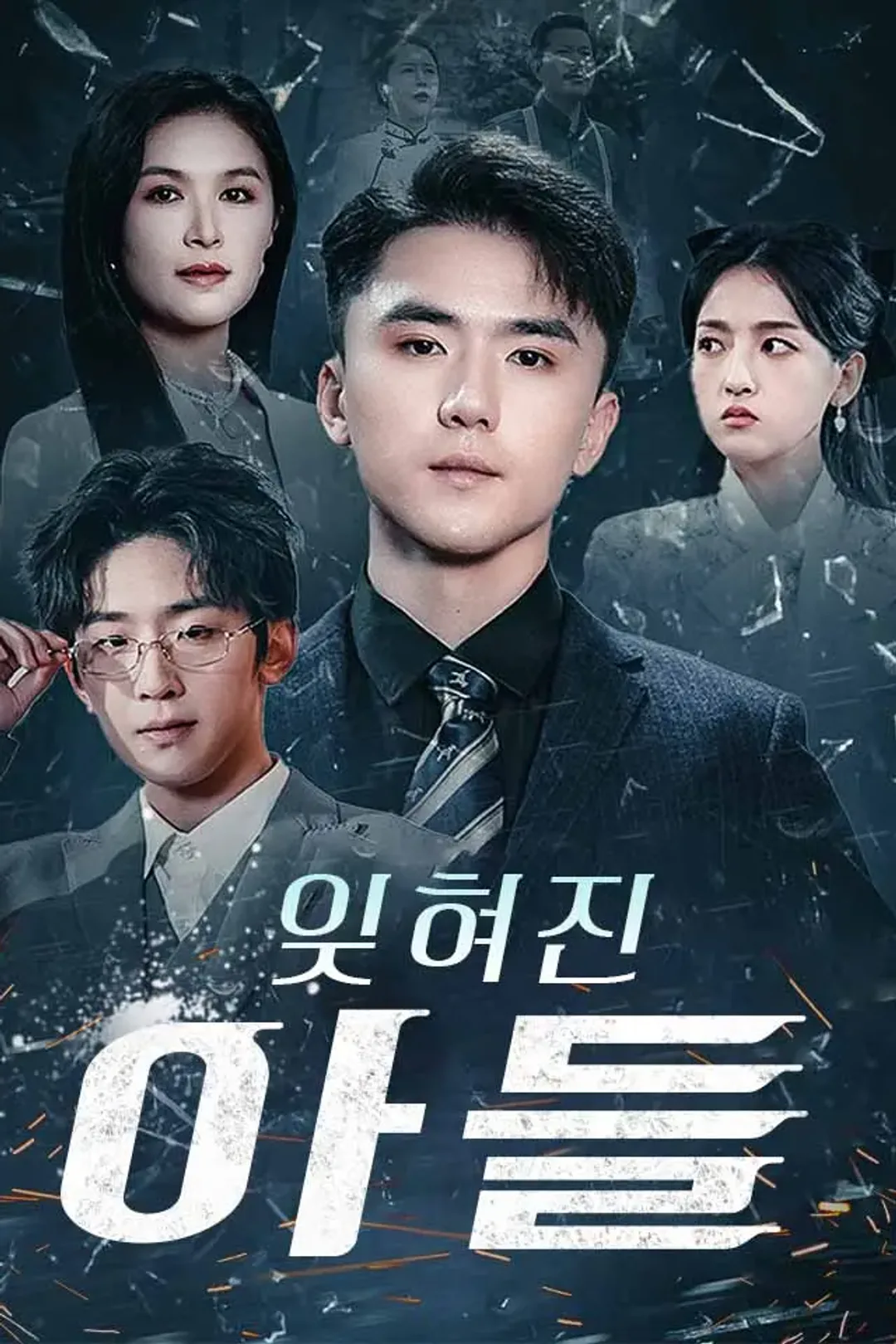 잊혀진 아들 포스터