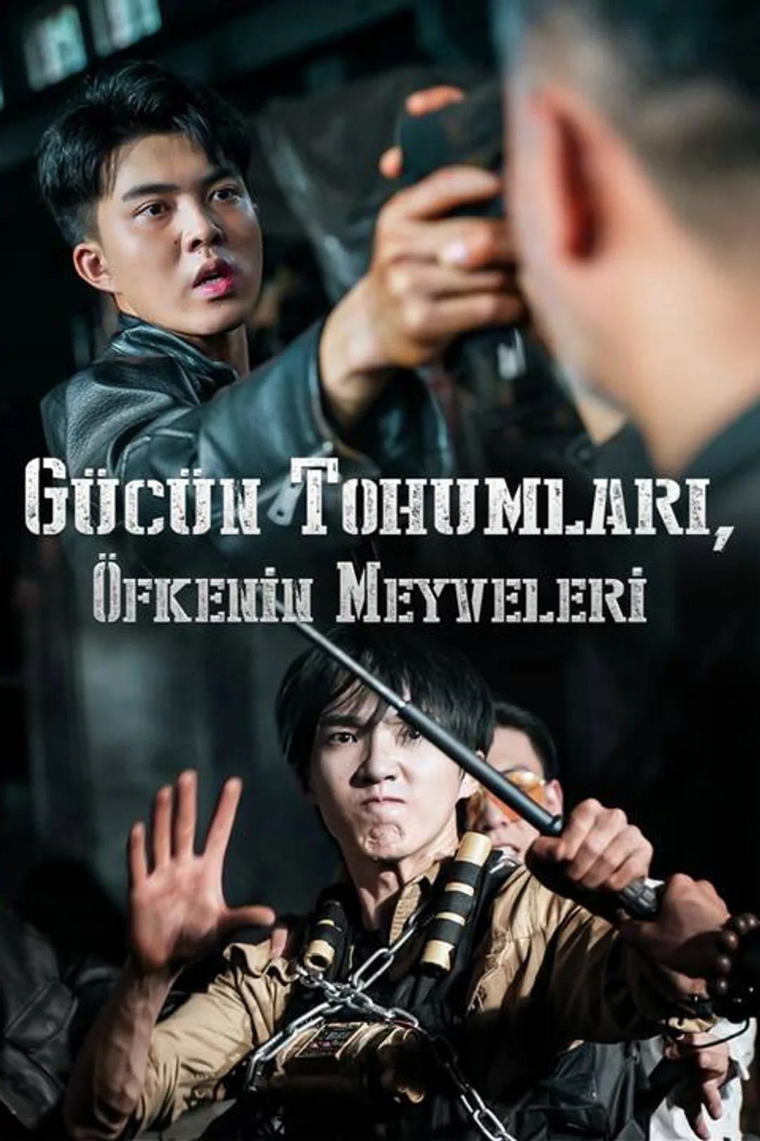 Gücün Tohumları, Öfkenin Meyveleri afişi