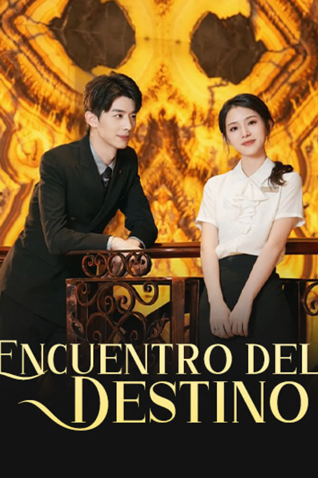 Póster de Encuentro del Destino