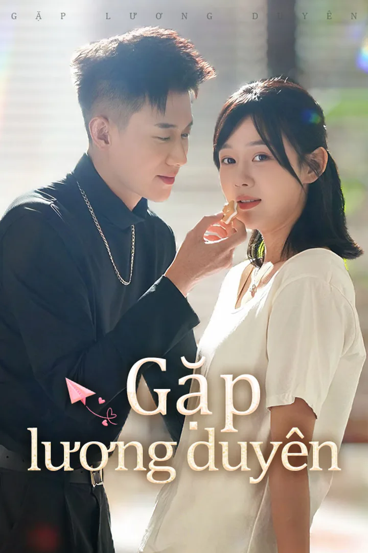 Poster phim Gặp lương duyên