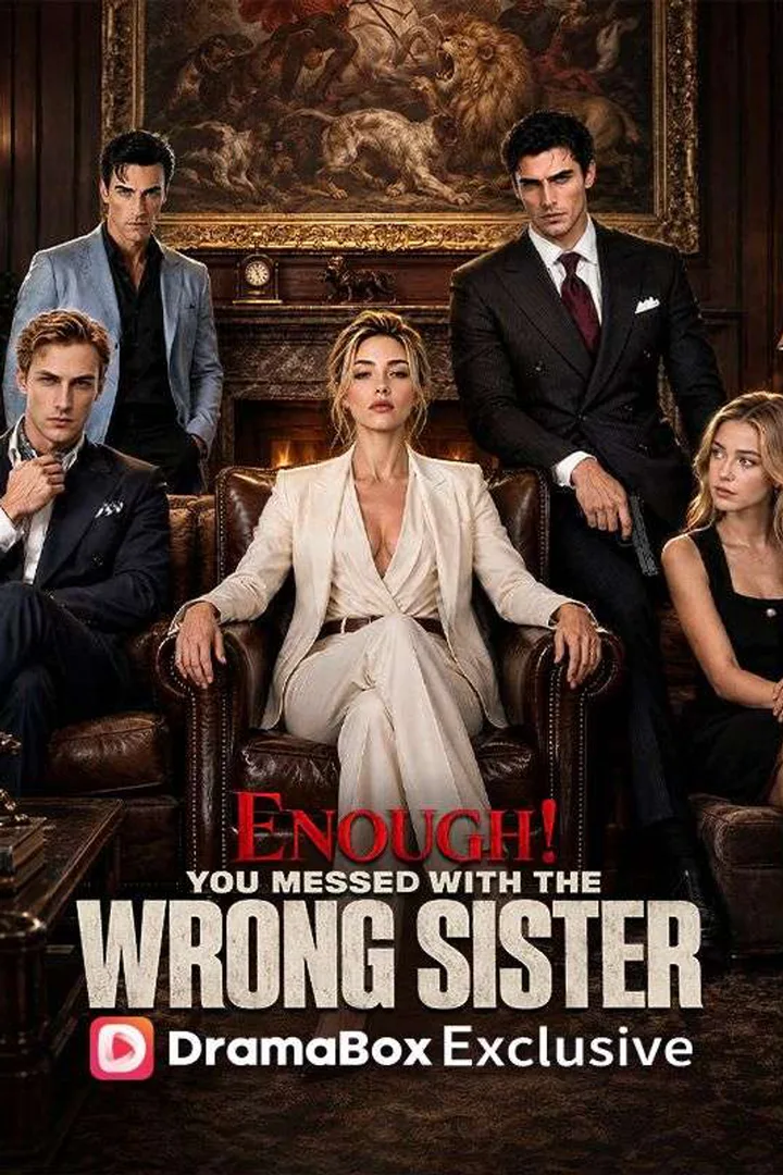 Enough! You Messed With The Wrong Sister poster