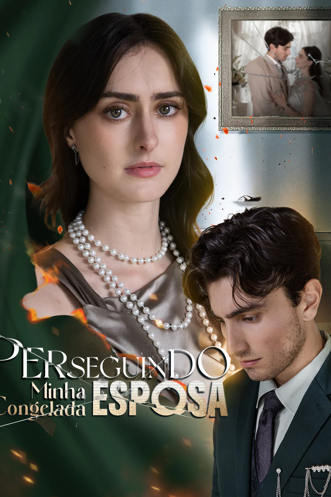 Pôster de Perseguindo Minha Esposa Congelada