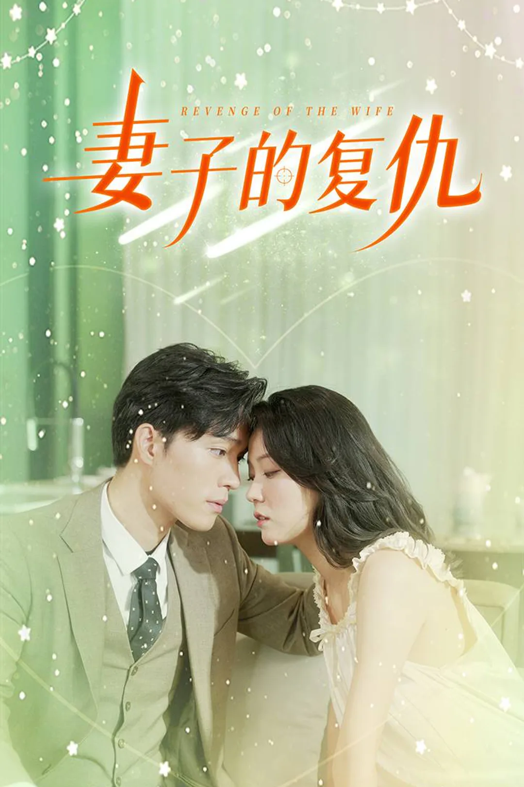 《妻子的复仇》海报