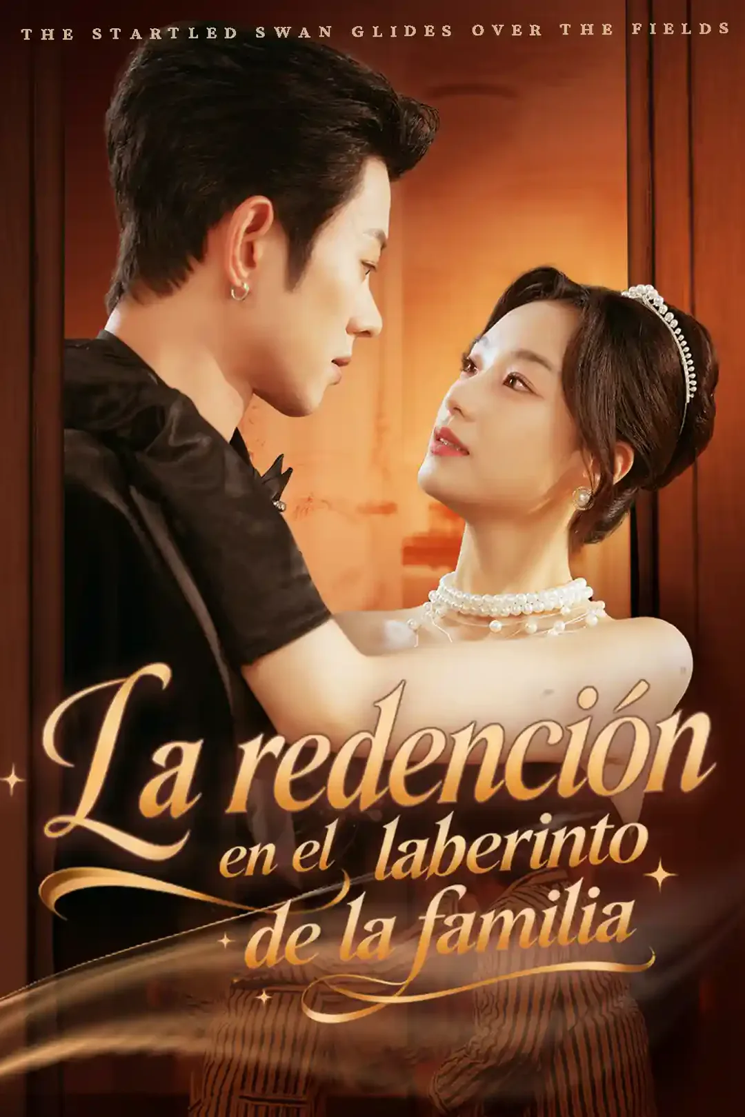 Póster de La redención en el laberinto de la familia