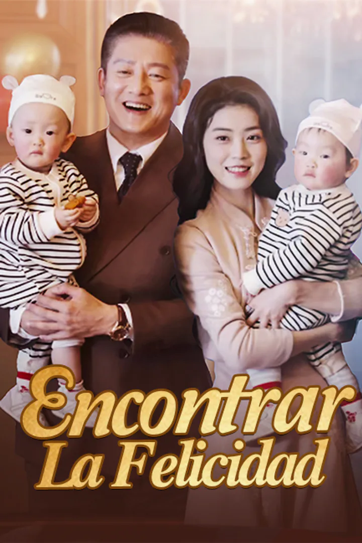Póster de Encontrar la felicidad