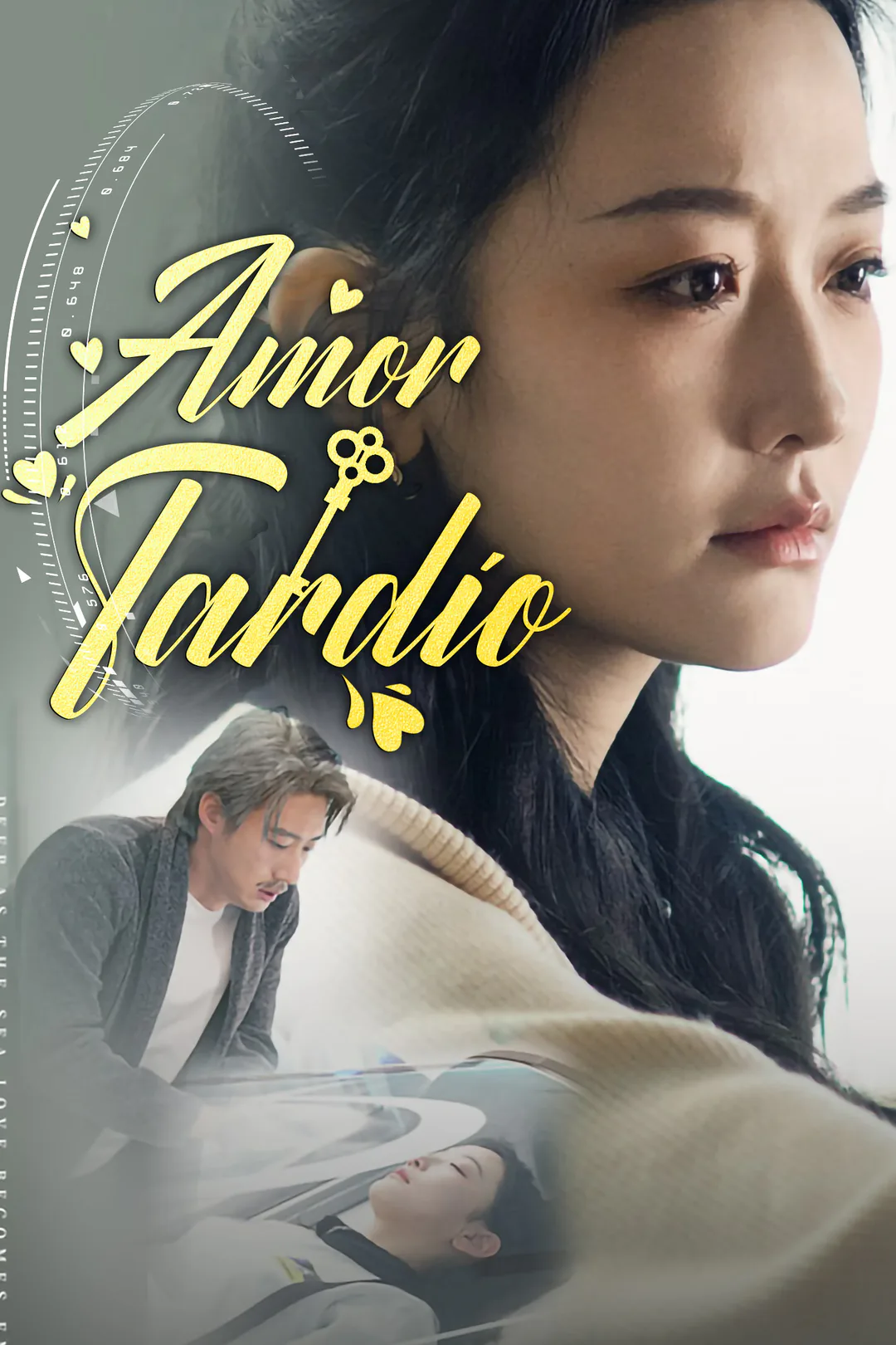 Póster de Amor tardío