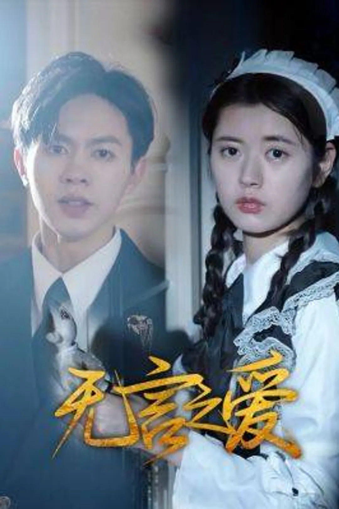 《無言之愛》海報