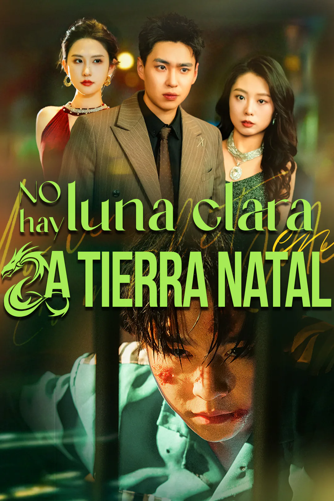 Póster de No hay luna clara en la tierra natal