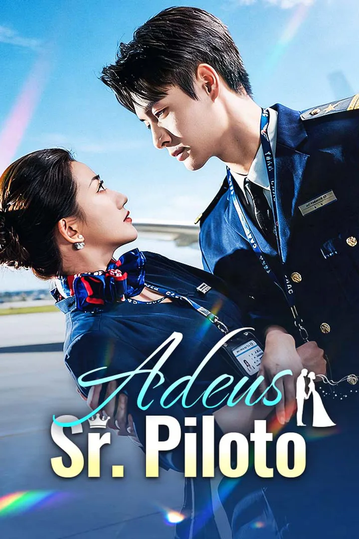 Pôster de Adeus, Sr. Piloto
