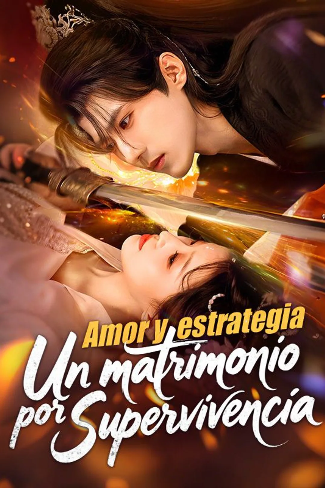 Póster de Amor y estrategia: Un matrimonio por supervivencia