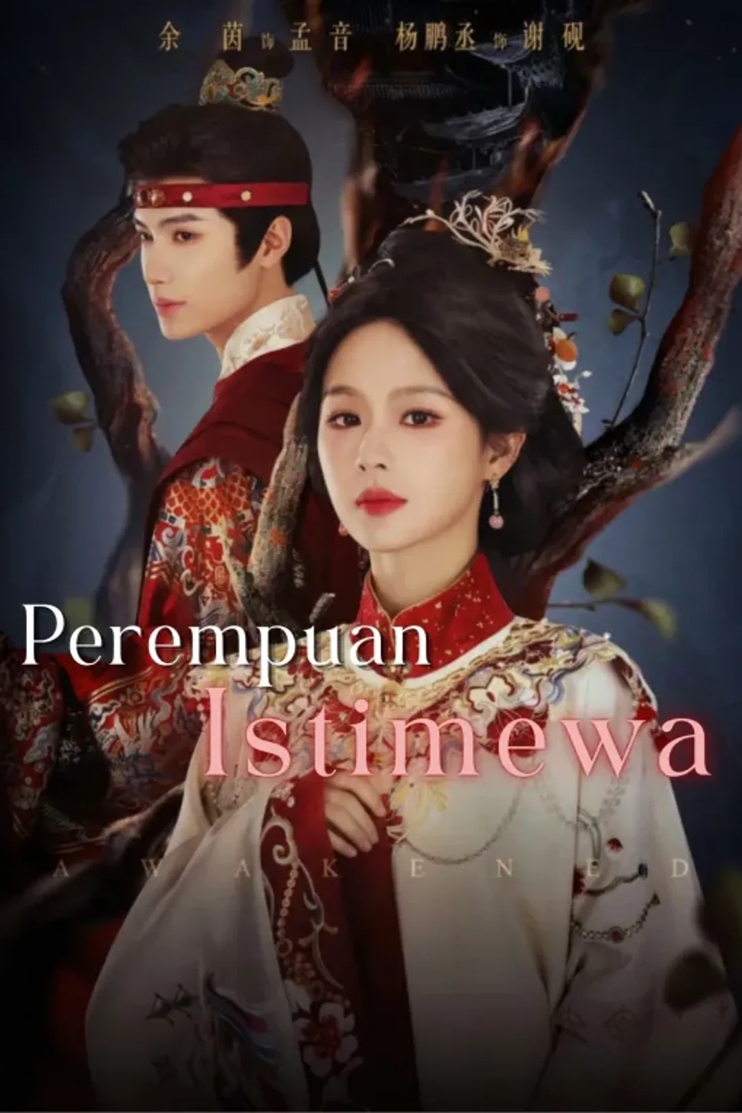 Poster Perempuan Istimewa