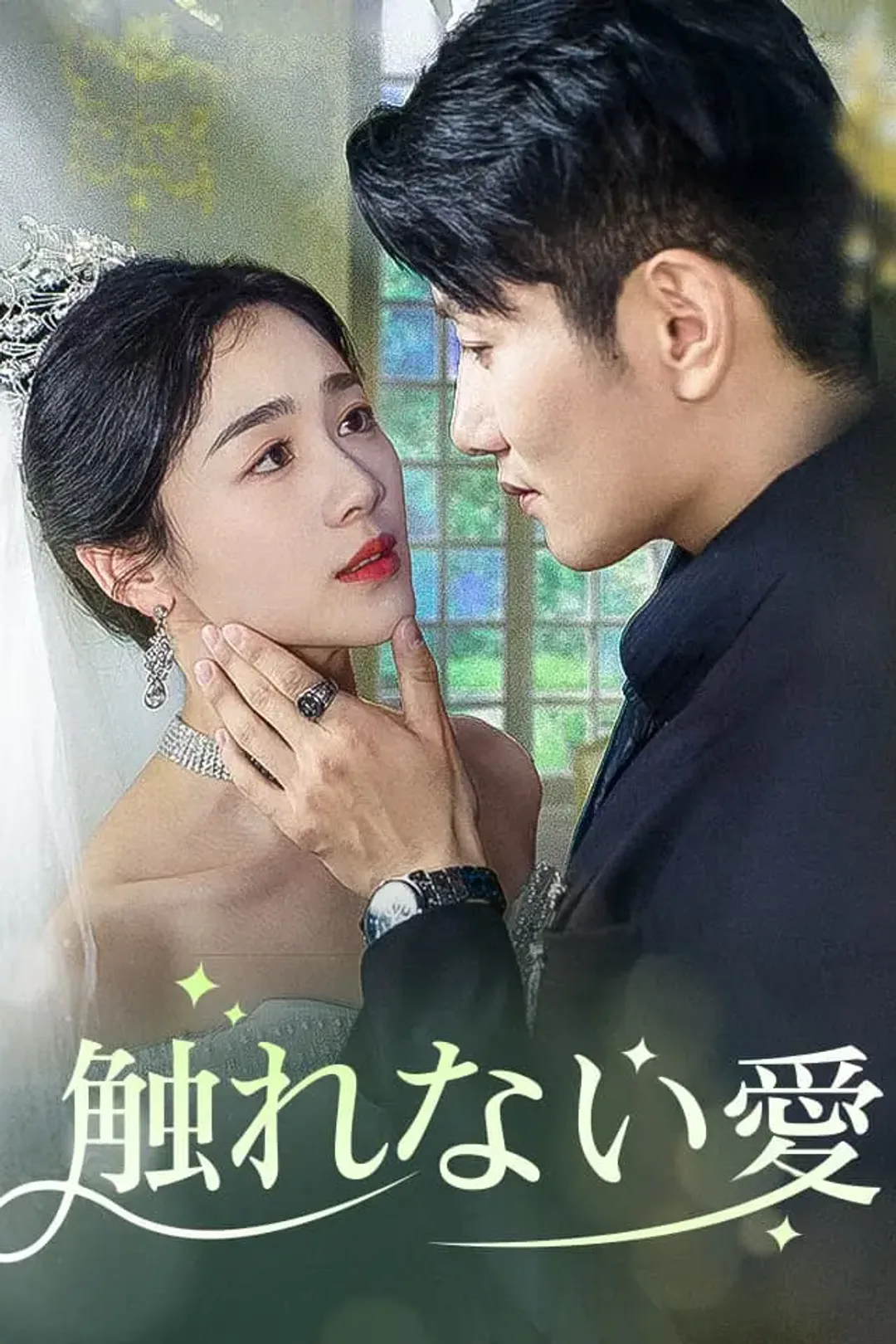 触れない愛のポスター