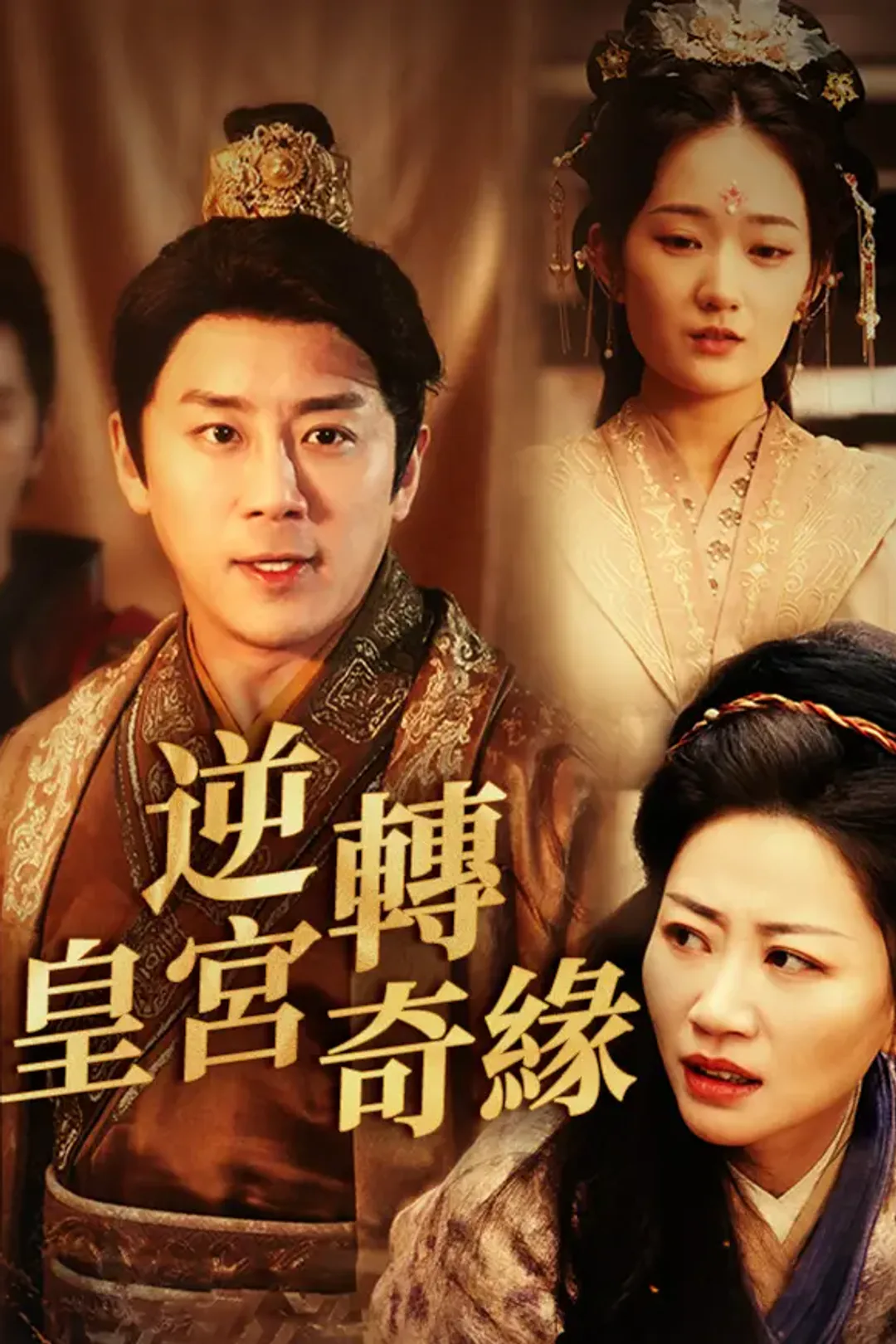 《逆轉皇宮奇緣》海報
