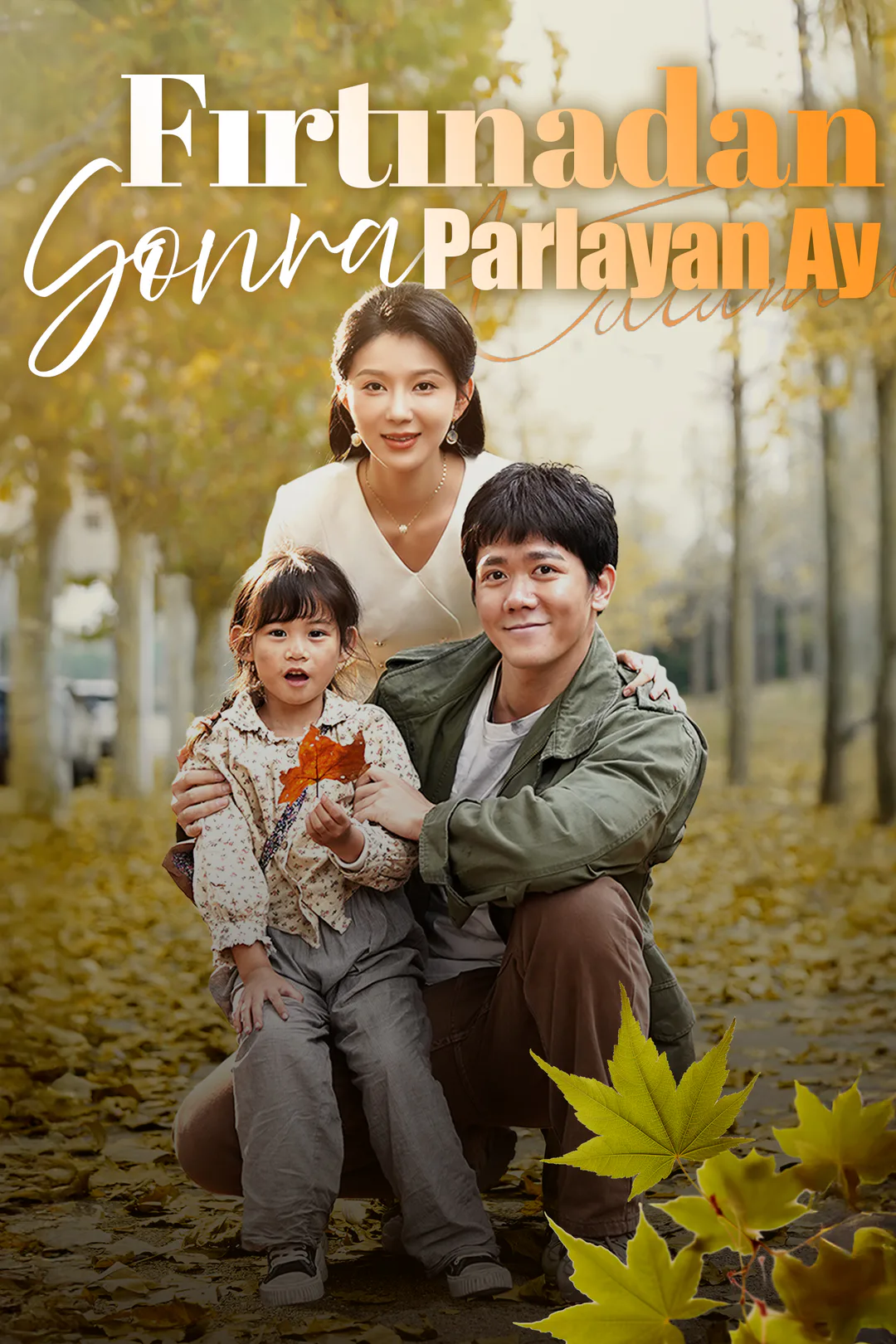Fırtınadan Sonra Parlayan Ay afişi