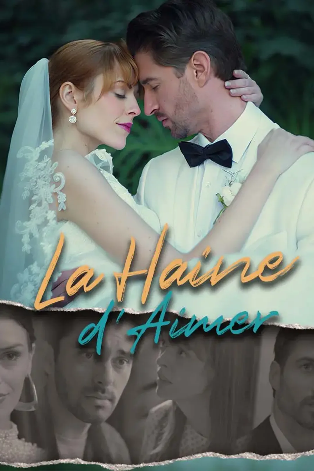Affiche de La Haine d'Aimer